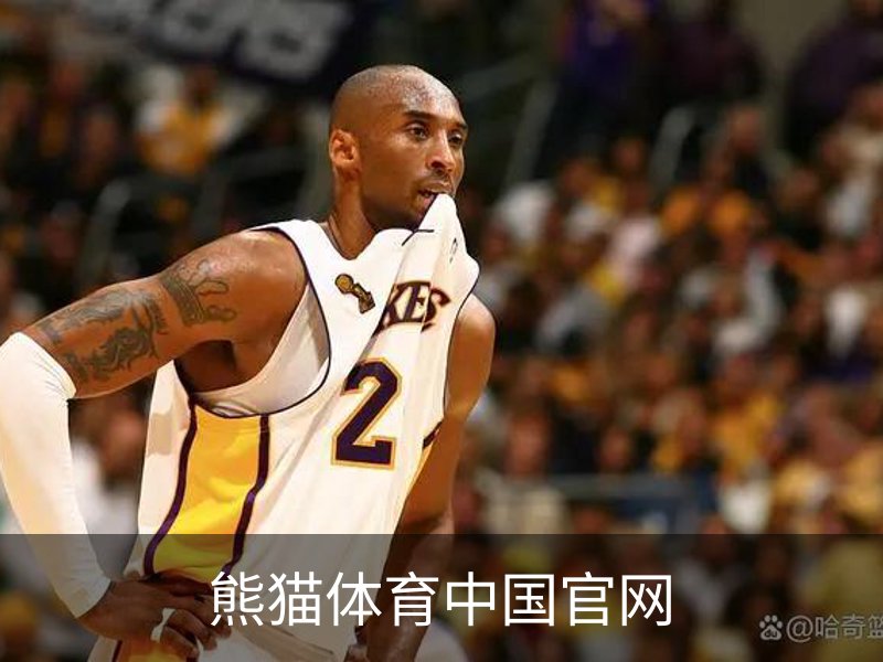 熊猫体育中国官网简介
